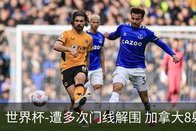 世界杯-遭多次门线解围 加拿大8射4正半场暂0-0南非