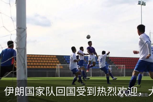 伊朗国家队回国受到热烈欢迎，大批球迷接机