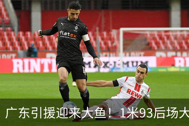 广东引援迎来大鱼！1米93后场大杀器，朱芳雨早就点名想要他？