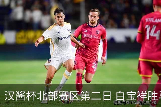 汉酱杯北部赛区第二日 白宝祥胜马天放独占鳌头