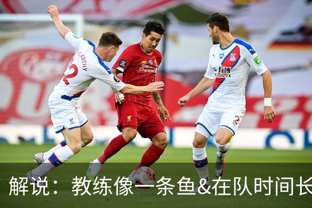 解说：教练像一条鱼&在队时间长了就会发臭 杜锋话语出现效应递减